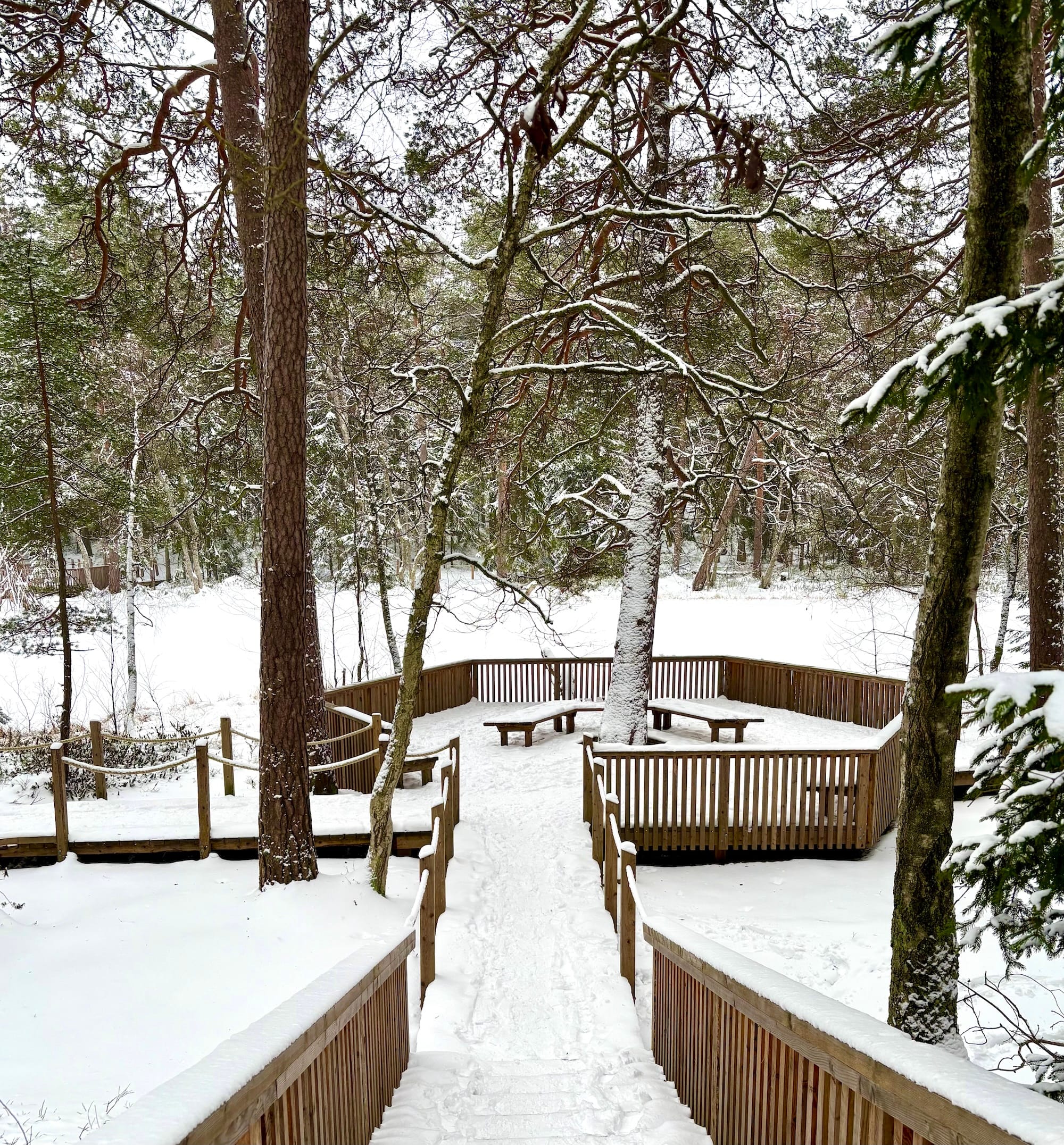 Minne tällä viikolla? 26.1.-1.2.2026